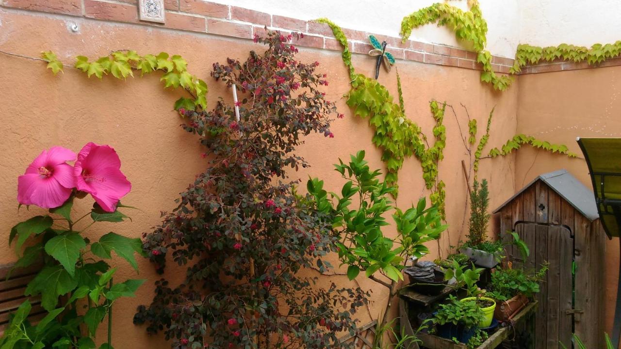Autan Des Couleurs Bed and Breakfast Albi Buitenkant foto